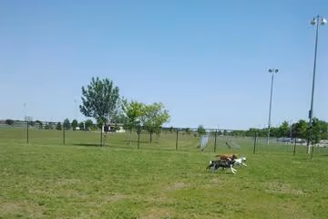 Maxwell Dog Park photo 2
